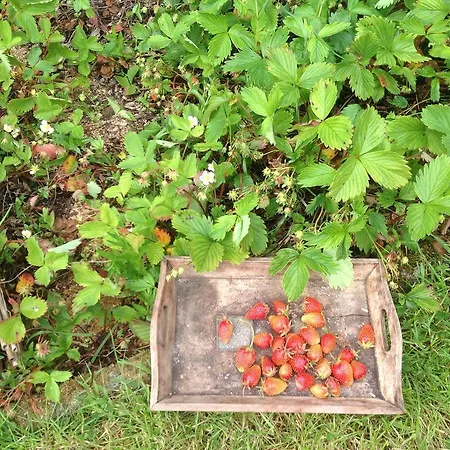 D'hotes Belle Vallee