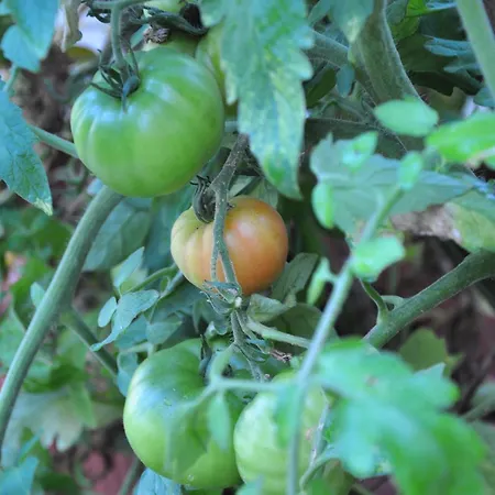 Bed & Breakfast D'hotes Belle Vallee