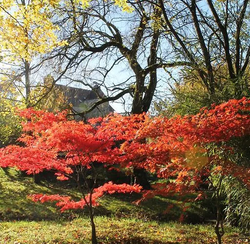 D'hotes Belle Vallee Bed & Breakfast Domfront (Orne)