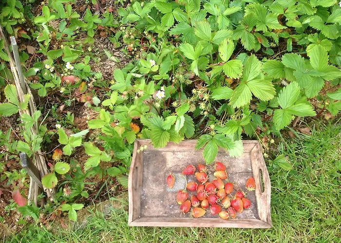 D'hotes Belle Vallee